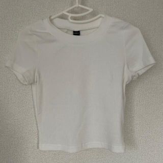 Tシャツ(Tシャツ(半袖/袖なし))