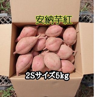 安納芋紅2Sサイズ5kg(種子島産)(野菜)