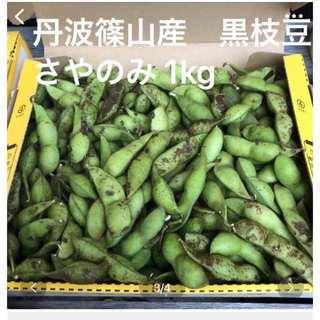 丹波篠山産 黒枝豆 さやのみ1kg   まもなく販売終了(野菜)