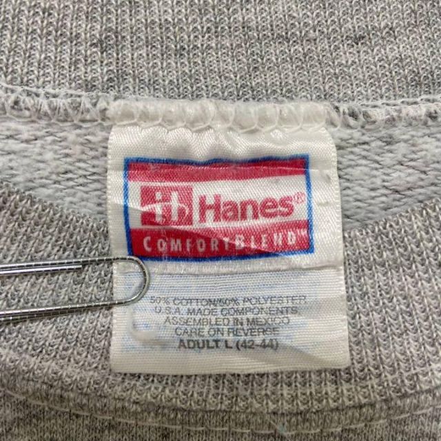 Hanes(ヘインズ)の【レア】90s Hanes フロリダ 刺繍ロゴ スウェット Lサイズ メンズのトップス(スウェット)の商品写真