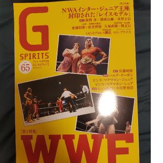 Ｇ　ＳＰＩＲＩＴＳ プロレス専門誌 Ｖｏｌ．６５(趣味/スポーツ/実用)