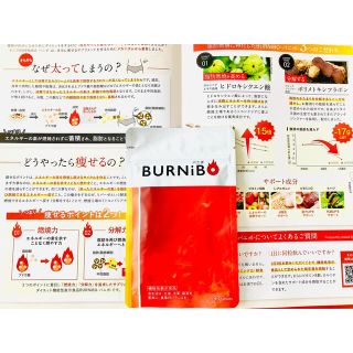 新品未使用　BURNIBO(バニボ) 30.6g(ダイエット食品)