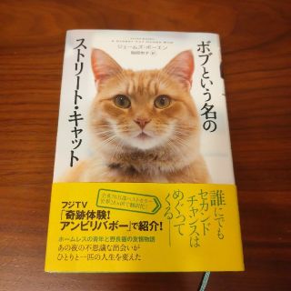 ボブという名のストリ－ト・キャット(文学/小説)