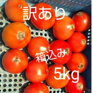 訳あり 飛騨トマト 5kg(箱込み)(野菜)