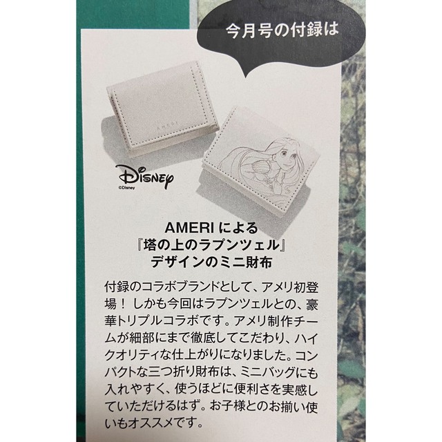 Disney(ディズニー)のotona MUSE付録 ディズニープリンセス ラプンツェル ミニ財布 エンタメ/ホビーのアニメグッズ(その他)の商品写真