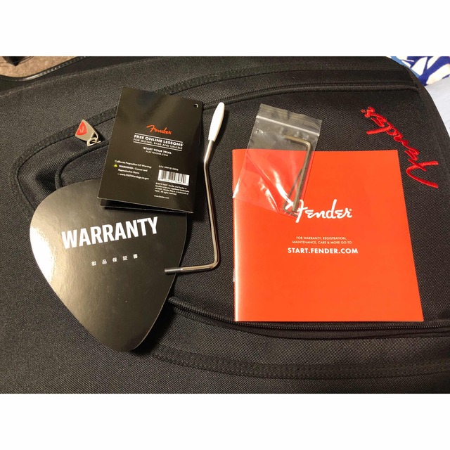 FENDER Daiki Tsuneta Swinger 常田大希シグネイチャー FENDER Daiki Tsuneta Swinger 常田大希シグネイチャー
