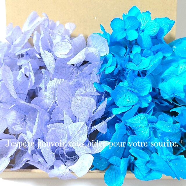 最大72%OFFクーポン 加工花材* 花材 ハーバリウム レジン