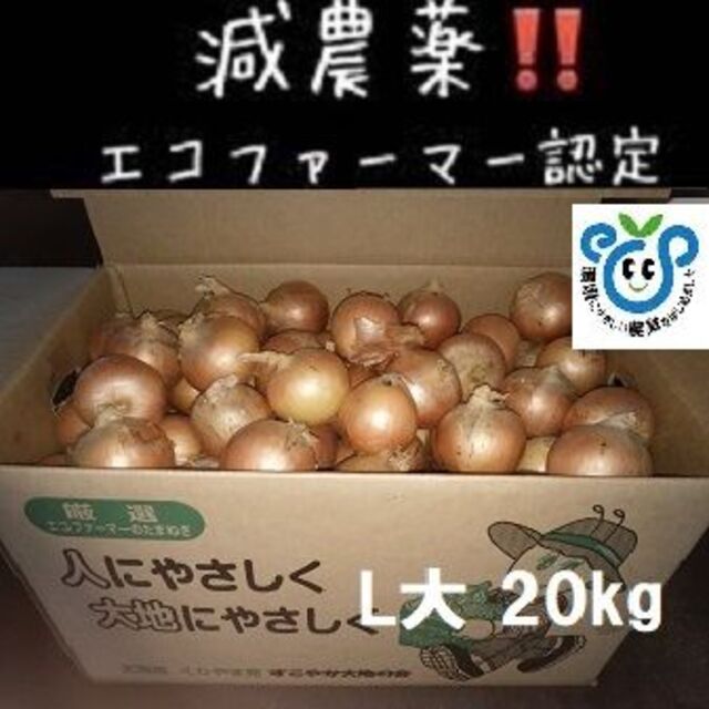 北海道産玉ねぎ 20kg L大 サイズ 食品/飲料/酒の食品(野菜)の商品写真