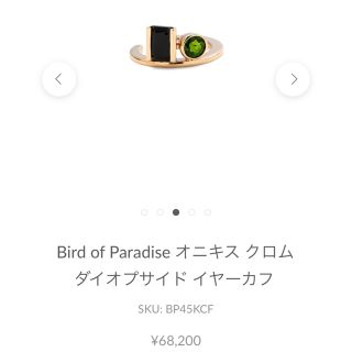 ユナイテッドアローズ(UNITED ARROWS)のHirotaka Bird of Paradise イヤーカフ(イヤーカフ)