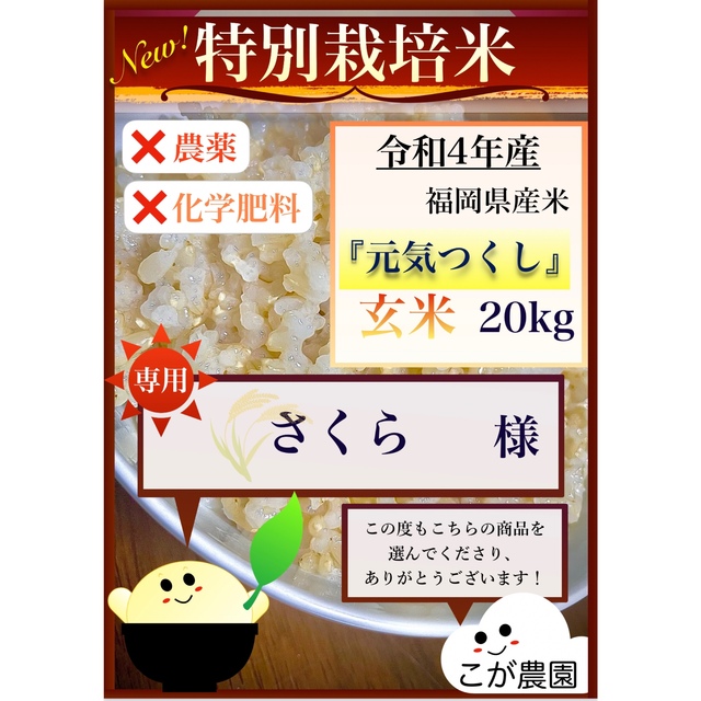 【さくら様　専用】特別栽培米 福岡県産米『元気つくし』玄米　20kgのサムネイル