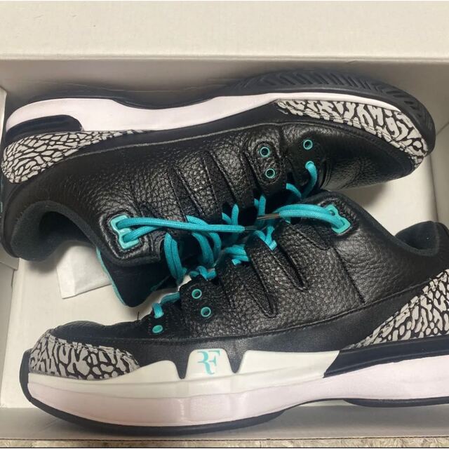 NIKE(ナイキ)のNIKE ATMOS ZOOM VAPOR TOUR AJ3 ELEPHANT メンズの靴/シューズ(スニーカー)の商品写真