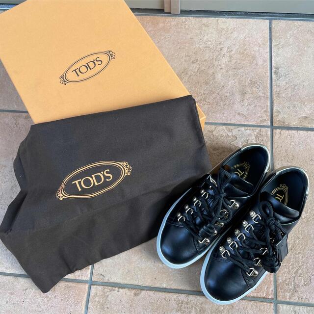 TOD'S(トッズ)のTOD’s  スニーカー　35.5(22.5㎝) レディースの靴/シューズ(スニーカー)の商品写真