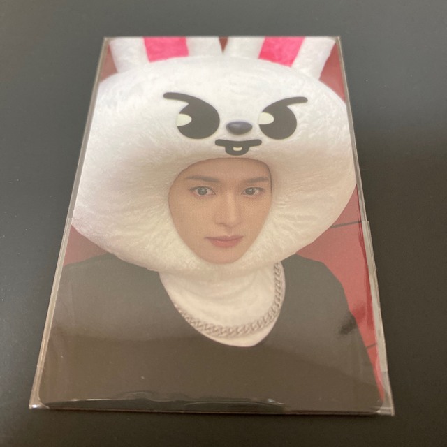 再入荷 MAXIDENT JYP 特典 straykids skzooトレカ 8枚セット | alamiah