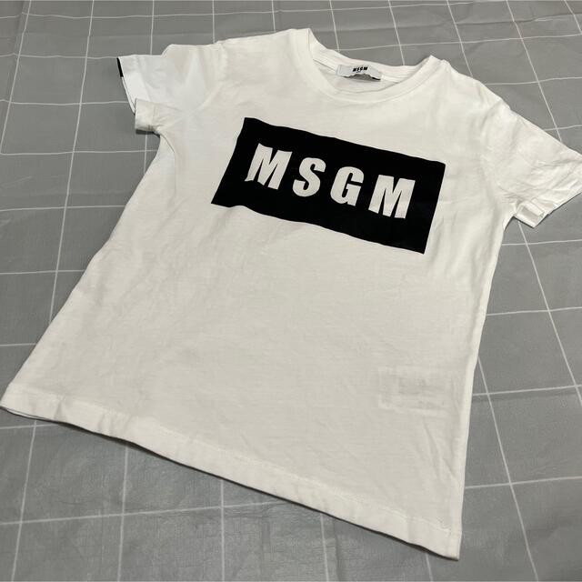 MSGM ボックスロゴTシャツ　正規品　新品