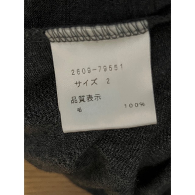 ウール100 あったかカットソー レディースのトップス(カットソー(長袖/七分))の商品写真