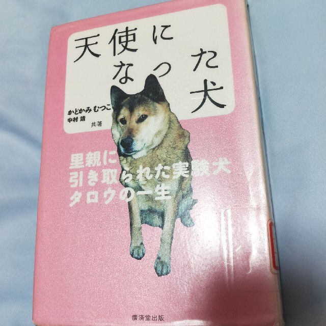 天使になった犬 里親に引き取られた実験犬タロウの一生 エンタメ/ホビーの本(絵本/児童書)の商品写真