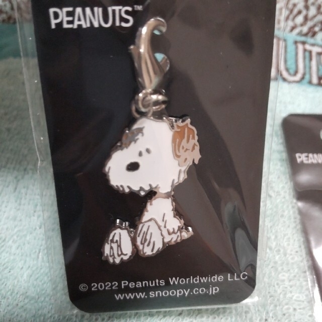 SNOOPY(スヌーピー)のアンディ チャムコレ スヌーピーSNOOPY レディースのアクセサリー(チャーム)の商品写真