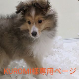 KUROMI様専用ページ(その他)