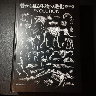 骨から見る生物の進化【普及版】/河出書房新社(語学/参考書)