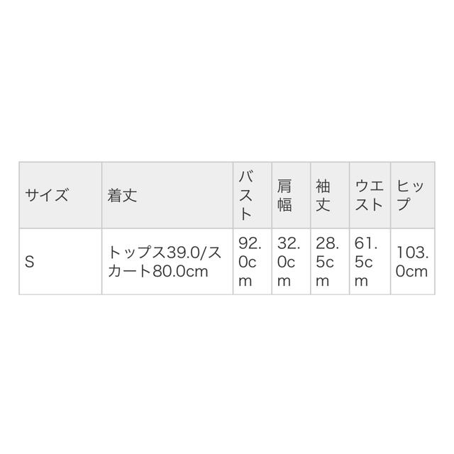 新品タグ付き ノエラ フラワーレースセットアップ ブルー