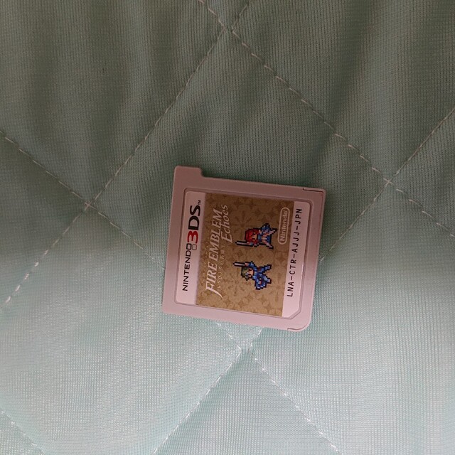 3DS Fいた
