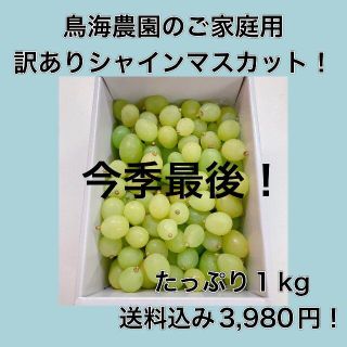 296ご家庭用訳ありシャインマスカット！バラ・1ｋｇ(フルーツ)