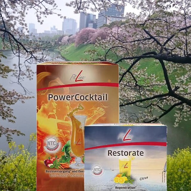 ドイツPM FITLINE オプティマルPセット - forsthoff.ru
