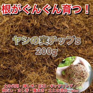 あく抜きヤシの実チップ　ベラボン　多肉植物　ハオルチア　200g 【S】(プランター)