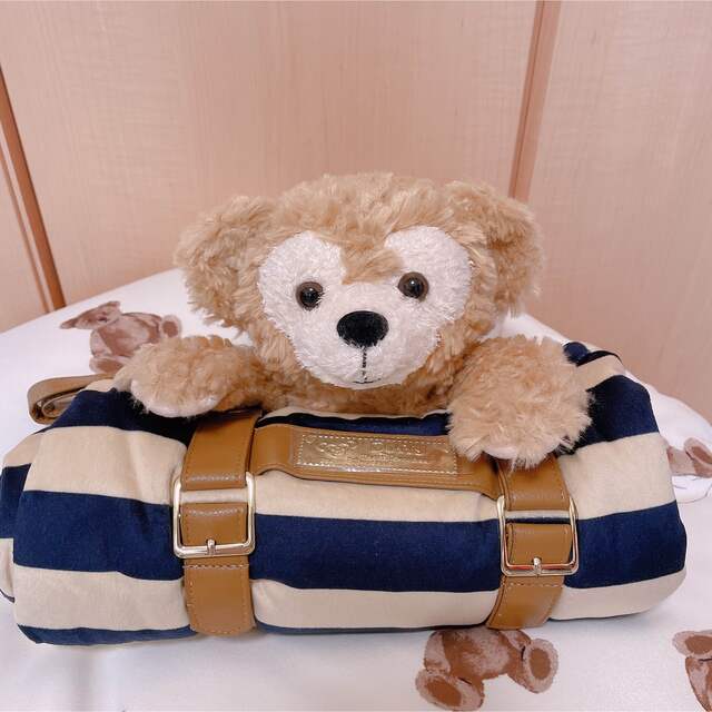 【新品.タグ付き】☆ディズニーシー☆ダッフィー ブランケット☆ 【新品】ダッフィー ブランケット①