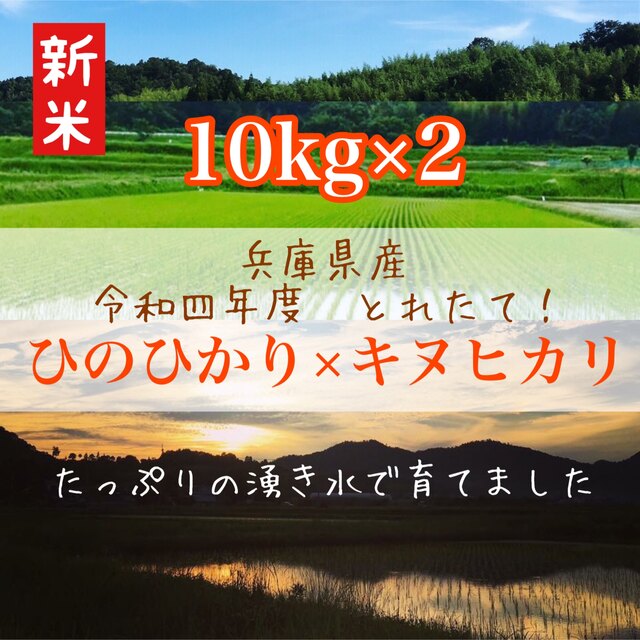 農家直送　米/穀物　兵庫県のお米食べ比べ　令和四年新米　ヒノヒカリ×キヌヒカリ　各10kg