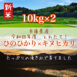 農家直送 兵庫県のお米食べ比べ 令和四年新米 ヒノヒカリ×キヌヒカリ 各10kg(米/穀物)