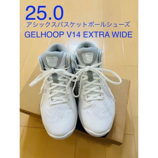 アシックス(asics)のバスケットシューズ　asicsゲルフープv14  ワイド　25.0(バスケットボール)