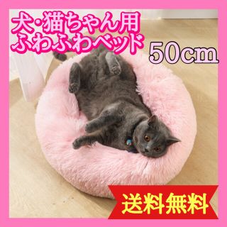 ★★★★★みゆき様専用★★★★★11月中旬頃(猫)