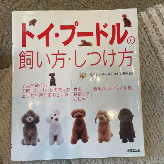 トイ・プ－ドルの飼い方・しつけ方 エンタメ/ホビーの本(住まい/暮らし/子育て)の商品写真