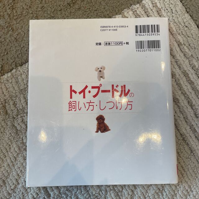 トイ・プ－ドルの飼い方・しつけ方 エンタメ/ホビーの本(住まい/暮らし/子育て)の商品写真