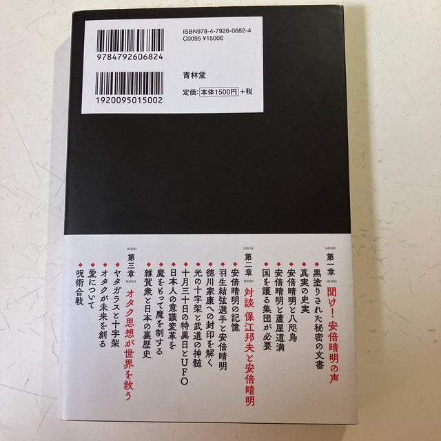 秘密結社ヤタガラスの復活 陰陽カケル エンタメ/ホビーの本(人文/社会)の商品写真