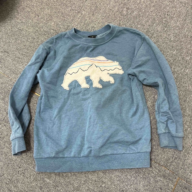 patagonia(パタゴニア)のパタゴニア　トレーナー キッズ/ベビー/マタニティのキッズ服男の子用(90cm~)(Tシャツ/カットソー)の商品写真