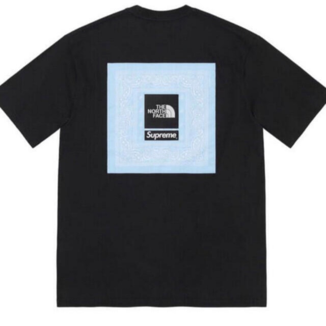 Supreme® The North Face®  Bandana Tee