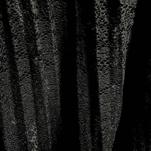 AMERICAN HOLIC(アメリカンホリック)の★美品★AMERICAN HOLIC レースロングプリーツスカート 黒 レディースのスカート(ロングスカート)の商品写真