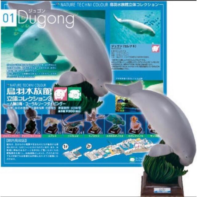 サンゴ礁の海 再販版 鳥羽水族館立体コレクション3 ネイチャー サンゴ礁の海 再販版 鳥羽水族館立体コレクション3 ネイチャー