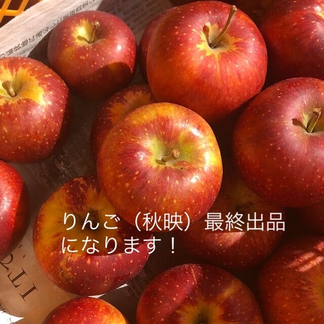 長野県産訳ありリンゴ（秋映）5キロ 食品/飲料/酒の食品(フルーツ)の商品写真