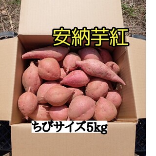 安納芋紅ちびサイズ5kg(種子島産)(野菜)