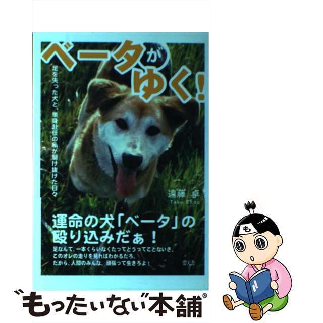 ベータがゆく！ 足を失った犬と、単身赴任の私が駆け抜けた日々/碧天舎/遠藤卓