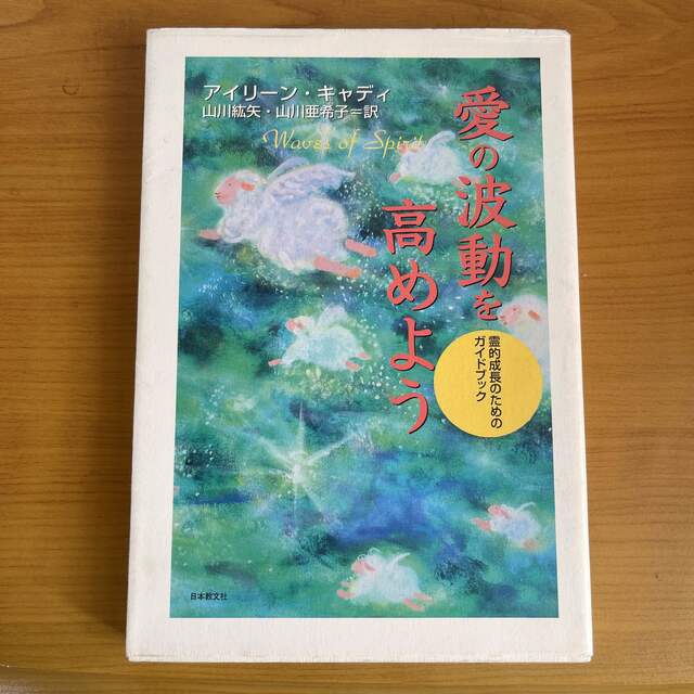 愛の波動を高めよう 霊的成長のためのガイドブック エンタメ/ホビーの本(人文/社会)の商品写真