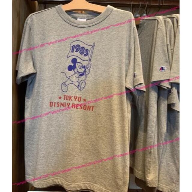 Disney(ディズニー)の定価4900円◆東京ディズニーリゾート×チャンピオン コラボTシャツ/Mグレー メンズのトップス(Tシャツ/カットソー(半袖/袖なし))の商品写真