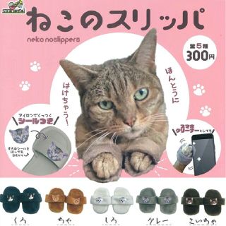 ねこのスリッパ ガチャ(猫)