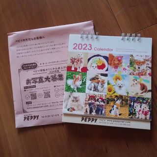 非売品　2023年カレンダー(カレンダー/スケジュール)