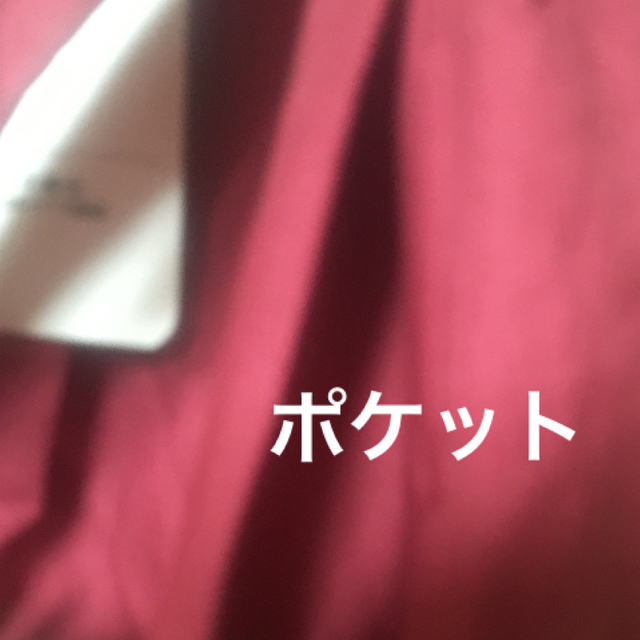 新品 スカート 3L えんじ色 千趣会製品 レディースのワンピース(ロングワンピース/マキシワンピース)の商品写真