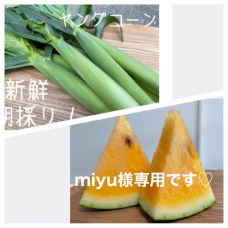 miyu様専用です♡(野菜)