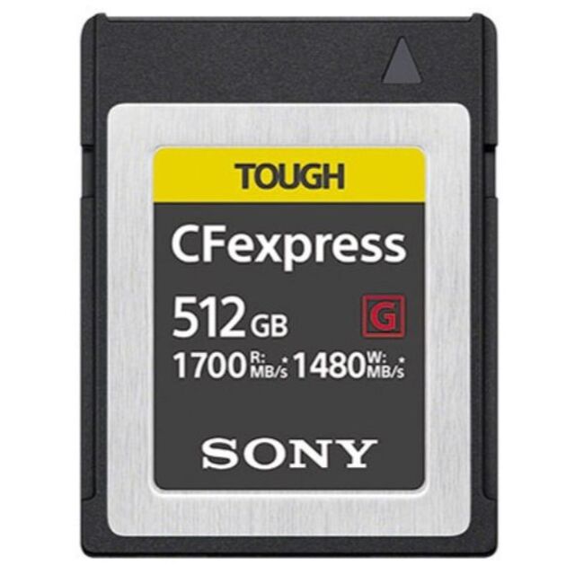 ■SONY(ソニー)　CEB-G512 [512GB]